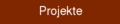 Projekte